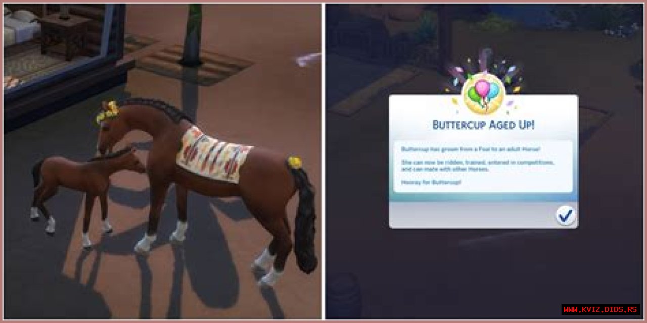 How To Rapidly Age Up Horses In The Sims 4